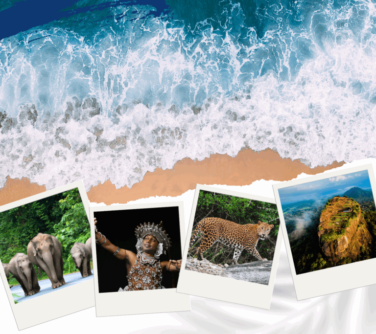 amazing escapes tours