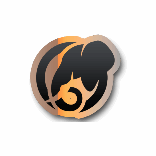 amazing esape tours logo