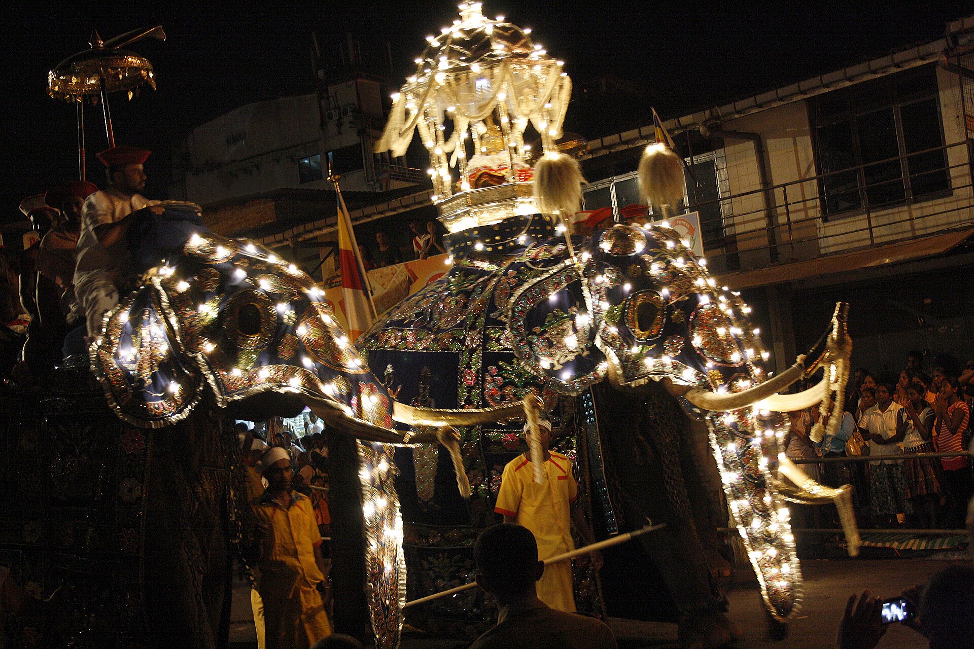 Kandy Esala Perahera tour - caparisoned elephants in the night procession