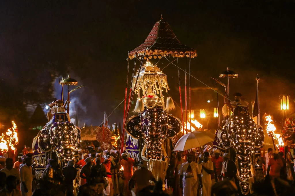 Kandy Esala Perahera tour - caparisoned elephants with illuminated costumes and traditional dancers in night procession through Kandy streets