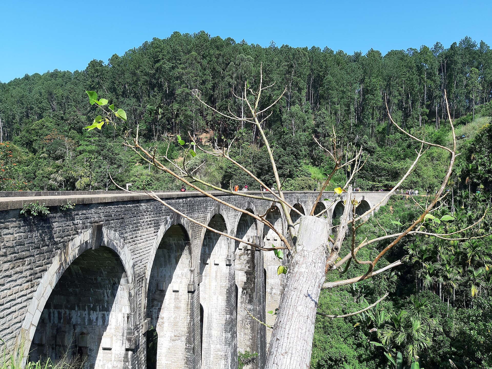 Ella Nine Arch Bridge tour - the iconic viaduct in the tea country