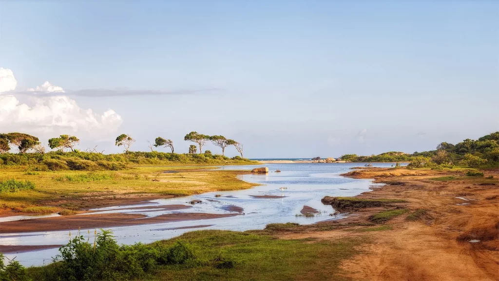 Yala National Park safari - wild coastline where the park meets the Indian Ocean