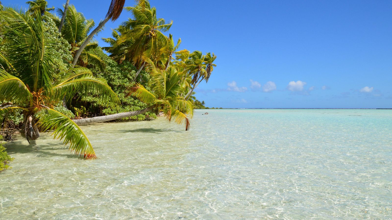 Unawatuna beach guide - calm reef bay with coconut palms in southern Sri Lanka
