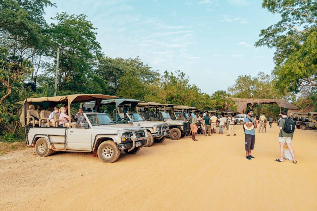 Sri Lanka safari jeep cost - open-top safari jeeps waiting to leave for a national park