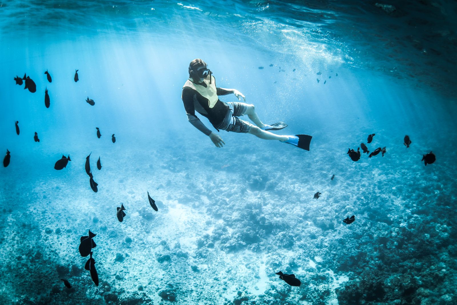 Nilaveli beach snorkeling - snorkeller above a coral reef with tropical fish