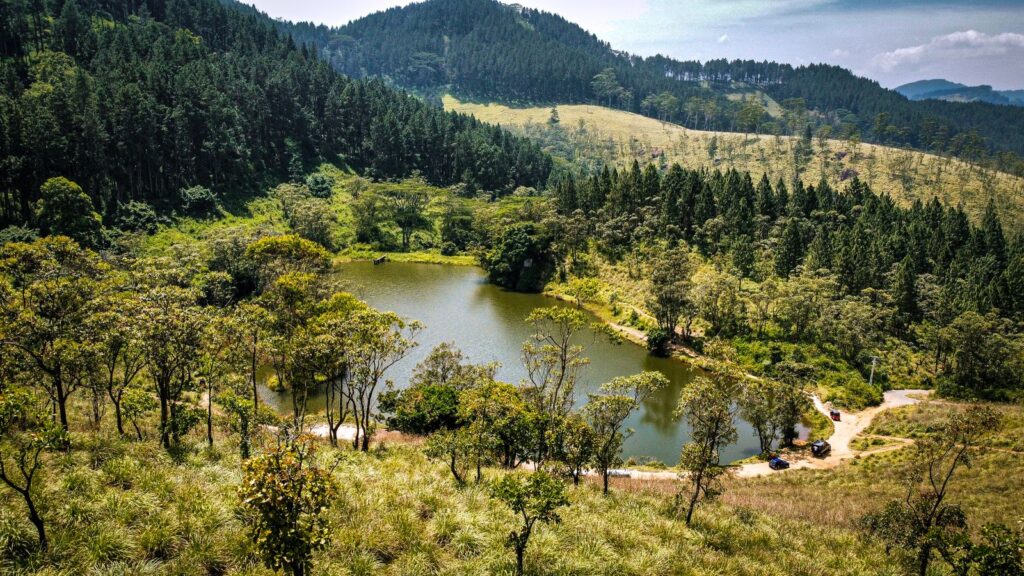 Best safari in Sri Lanka - aerial view of a lake and dry-zone forest between Sri Lanka's safari parks