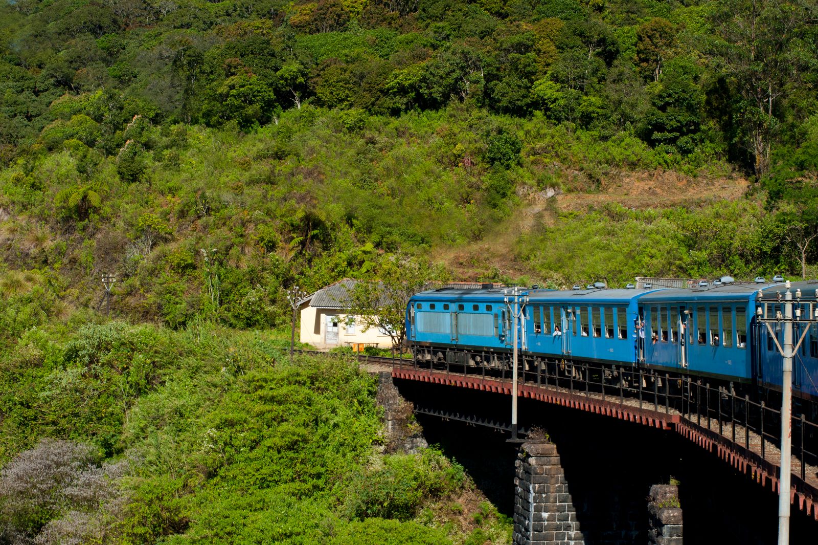 tailor-made Sri Lanka tours - scenic train through the tea country near Ella