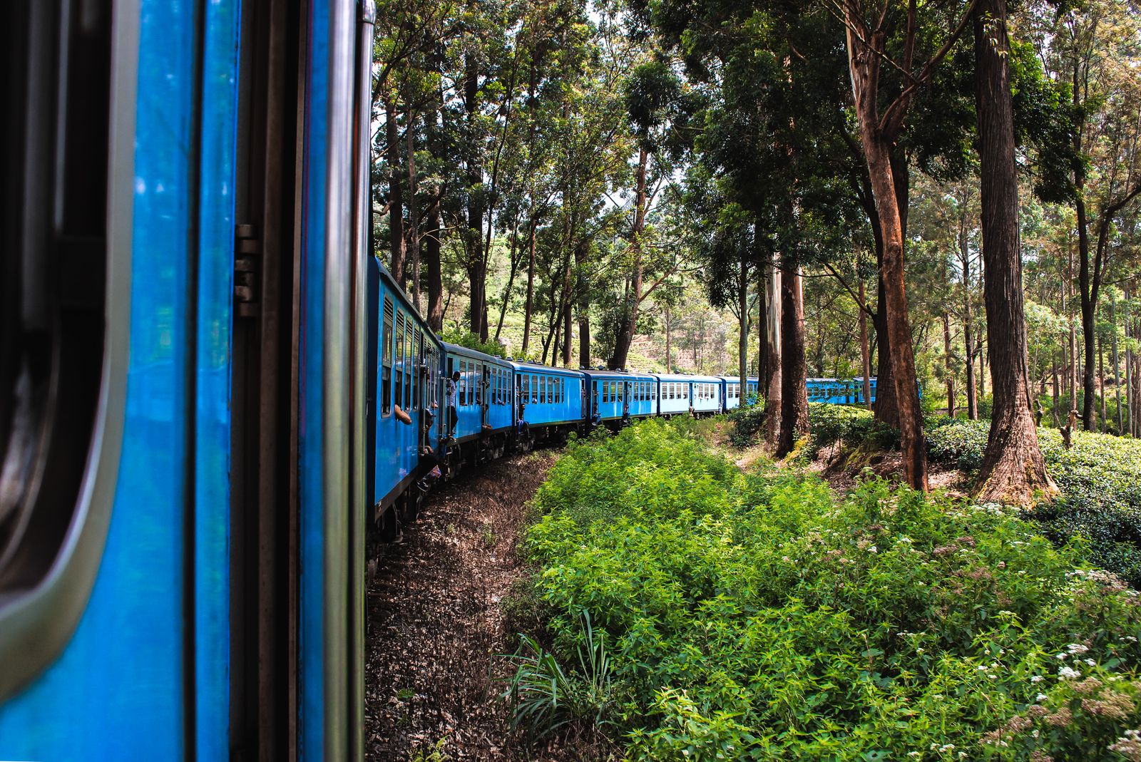 Sri Lanka family holiday itinerary - the scenic blue train through tea country
