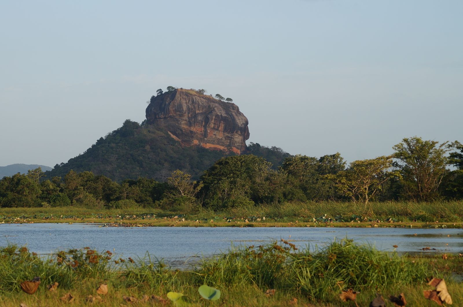 custom Sri Lanka tour itinerary - Sigiriya rock fortress surrounded by greenery