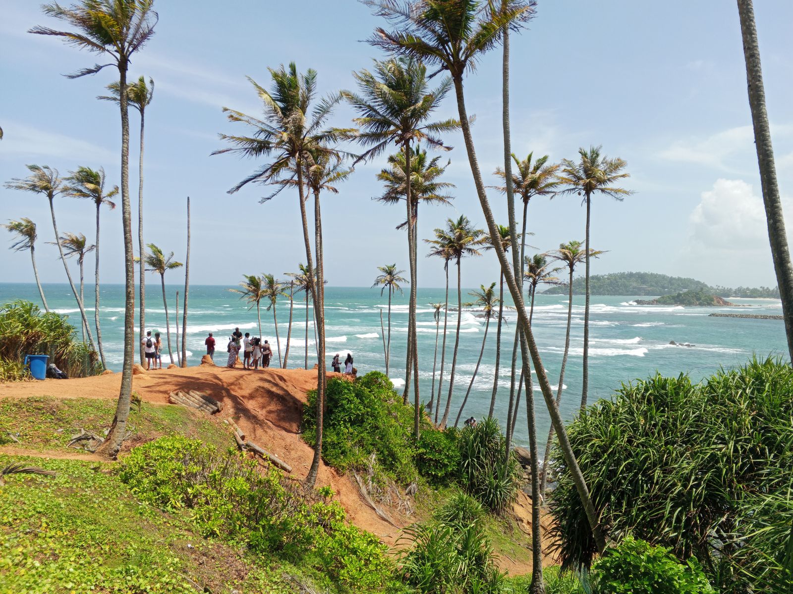 best time for honeymoon in Sri Lanka - palm trees along the Mirissa coastline in the south